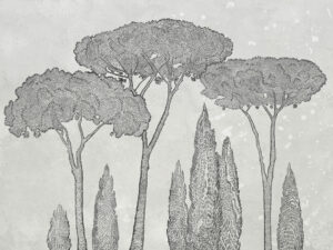 Cipressi italiani e pini domestici sullo sfondo chiaro carta da parati