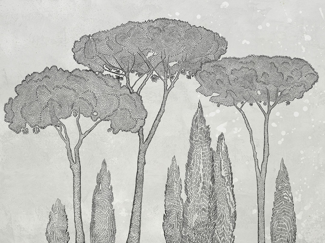 Cipressi italiani e pini domestici sullo sfondo chiaro carta da parati