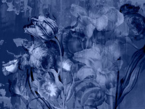 Carta da parati floreale blu con grandi rose e peonie
