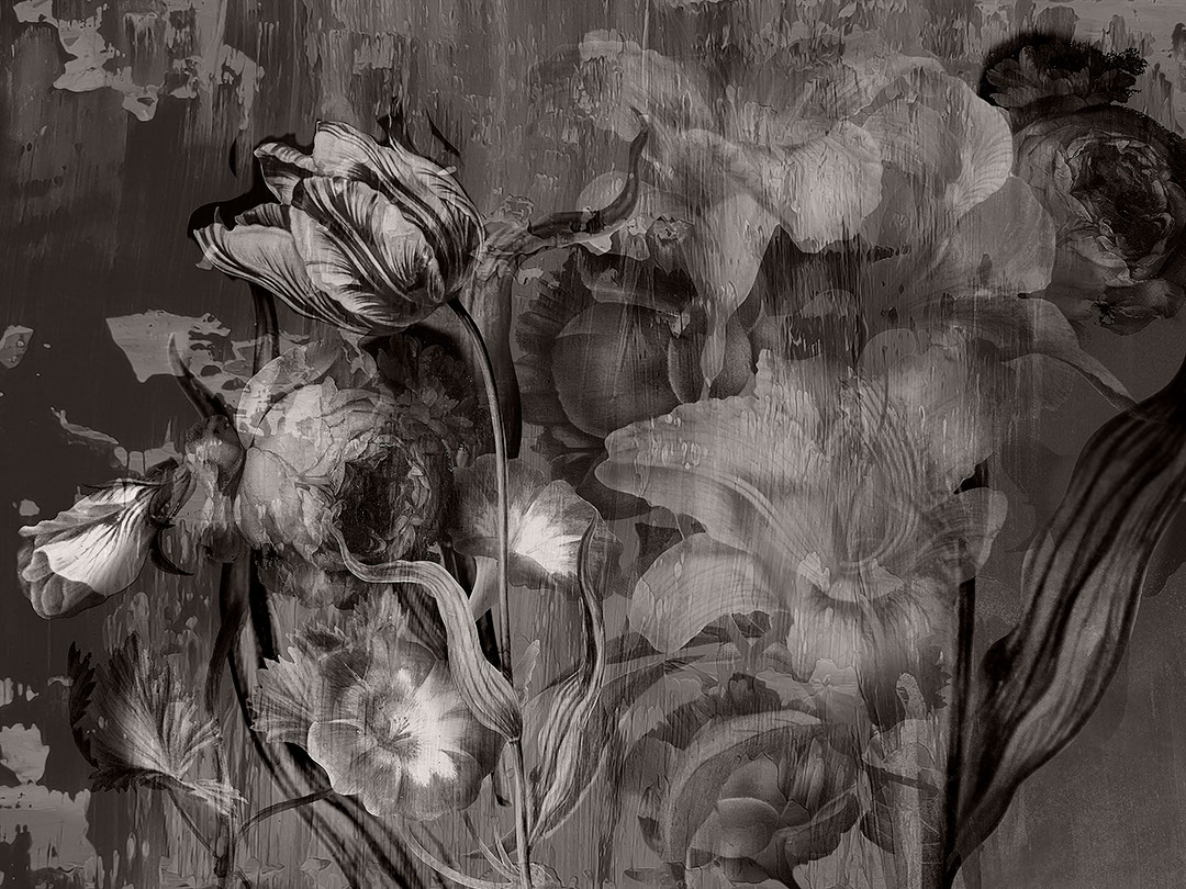 Carta da parati floreale in bianco e nero con grandi rose e peonie