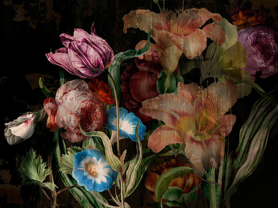 Carta da parati floreale malinconico con grandi rose scure e peonie