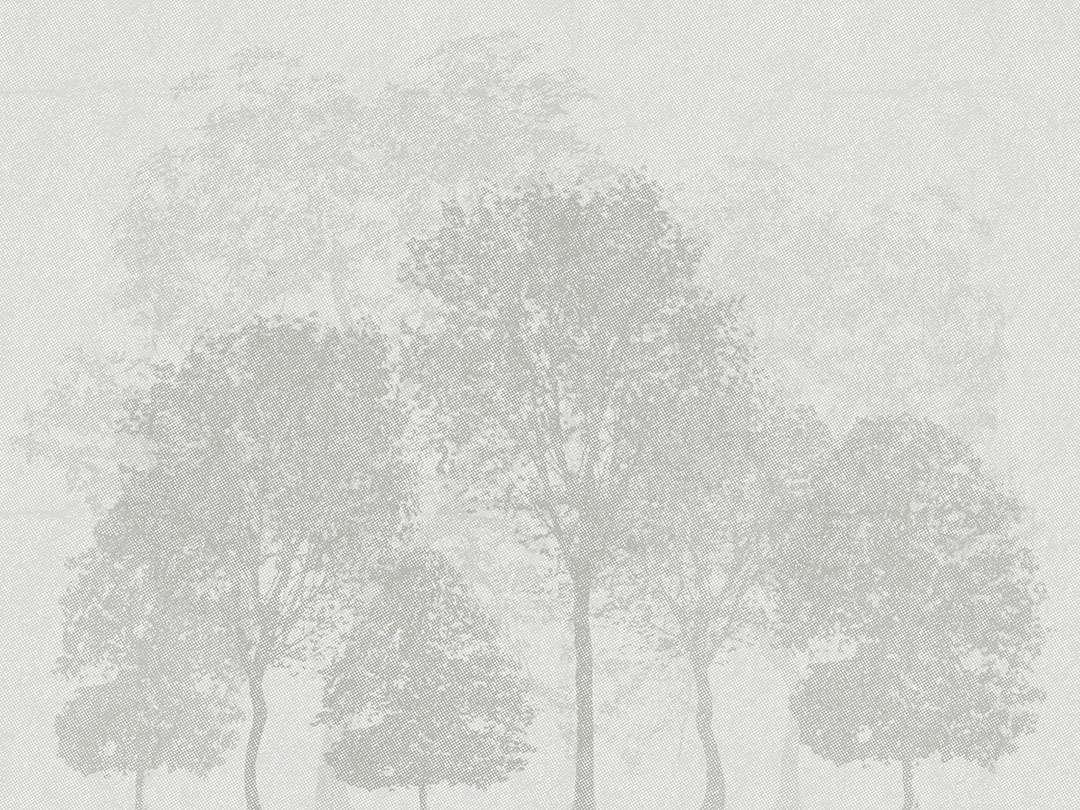Illustrazione carta da parati minimalista foresta grigia incisa