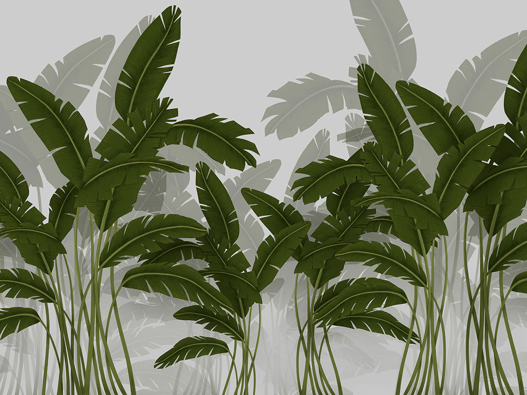 Carta da parati illustrato tropicale con foglia di banano verde scuro