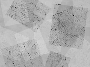Carta da parati geometrico astratto grigio con rettangoli animalistici