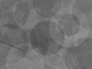 Carta da parati geometrico astratto grigio con la texture delle foglie