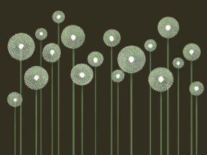 Denti di leone verdi minimalisti illustrati sullo sfondo scuro carta da parati