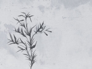 Carta da parati floreale asimmetrico neutro in stile Japandi