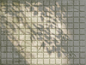 Piastrelle di pietra grigia con ombre di foglie сarta da parati