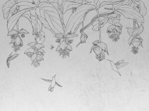 Fiori tropicali con colibrì sullo sfondo testurizzato carta da parati