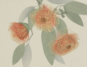 Carta da parati con fiori arancioni massimalistici e foglie delicate