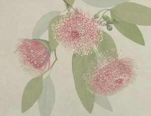 Carta da parati con fiori rosa massimalistici e foglie delicate