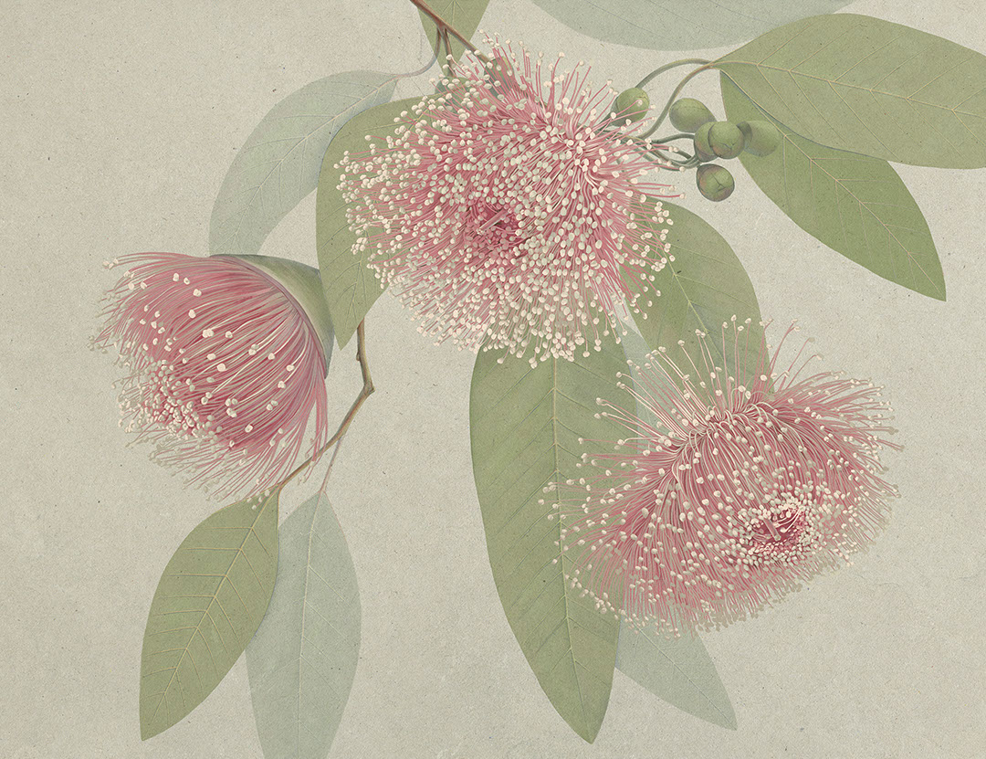 Carta da parati con fiori rosa massimalistici e foglie delicate