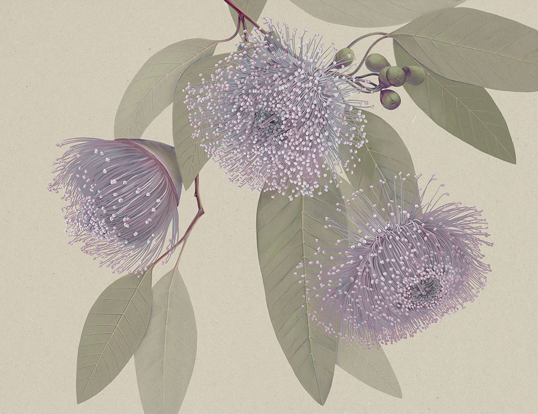 Carta da parati con fiori viola massimalisti e foglie delicate