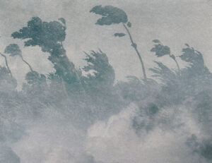 Carta da parati vintage con incisione grigia foresta nella nebbia